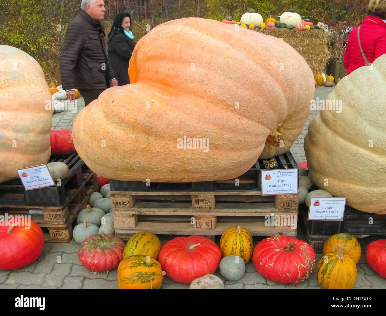 Elstal, Brandenburg, Deutschland - 28. Oktober 2018: Halloween Gemüse Installation im modernen Outdoor Kids Park Karls Erlebnis-Dorf in Elstal, Brandenbu Stockfoto