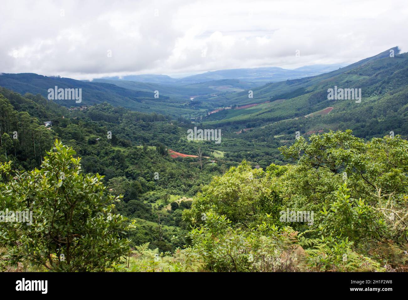 Blick über ein abgeschiedenes bewaldetes Tal zwischen den Wolkbergen Südafrikas Stockfoto