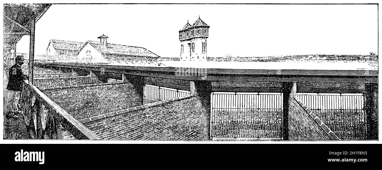 Hof für Spaziergänge im Gefängnis. Illustration des 19. Jahrhunderts. Weißer Hintergrund. Stockfoto