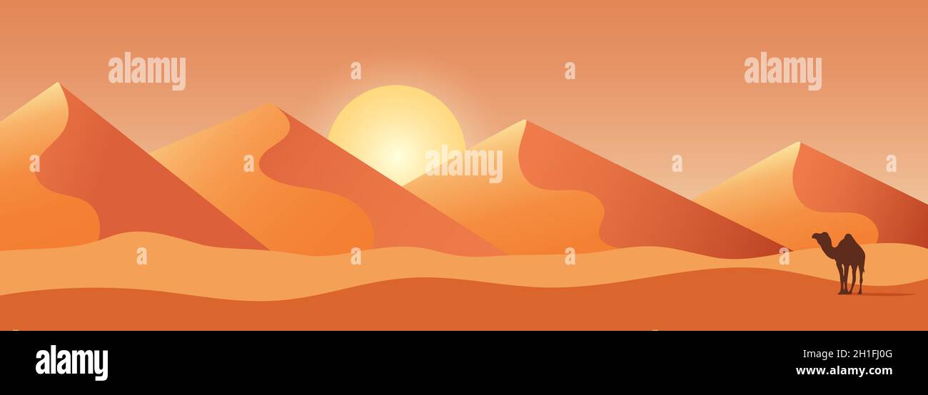 Wunderschöne Darstellung der Sanddünenlandschaft mit einem Kamel im Vordergrund. Sonnenuntergangslandschaft. Vektorgrafik Stock Vektor