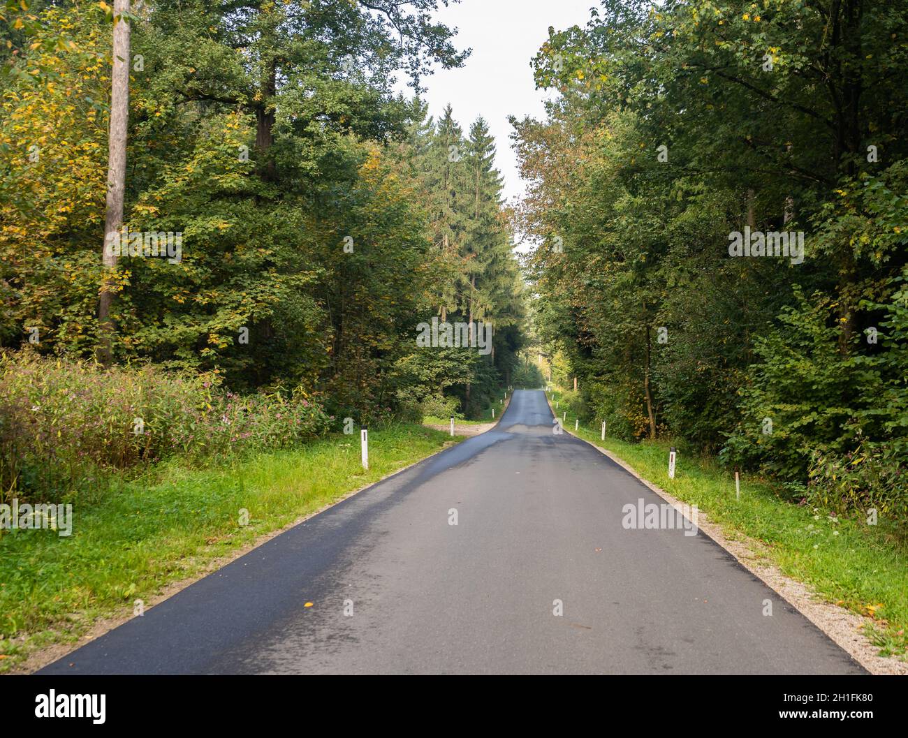 Landschaft von schönen kleinen Straße in countryside.Empty Asphaltstraße zwischen Bäumen und Natur.Ökologie, Umwelt und grüne Öko-Konzept. Stockfoto