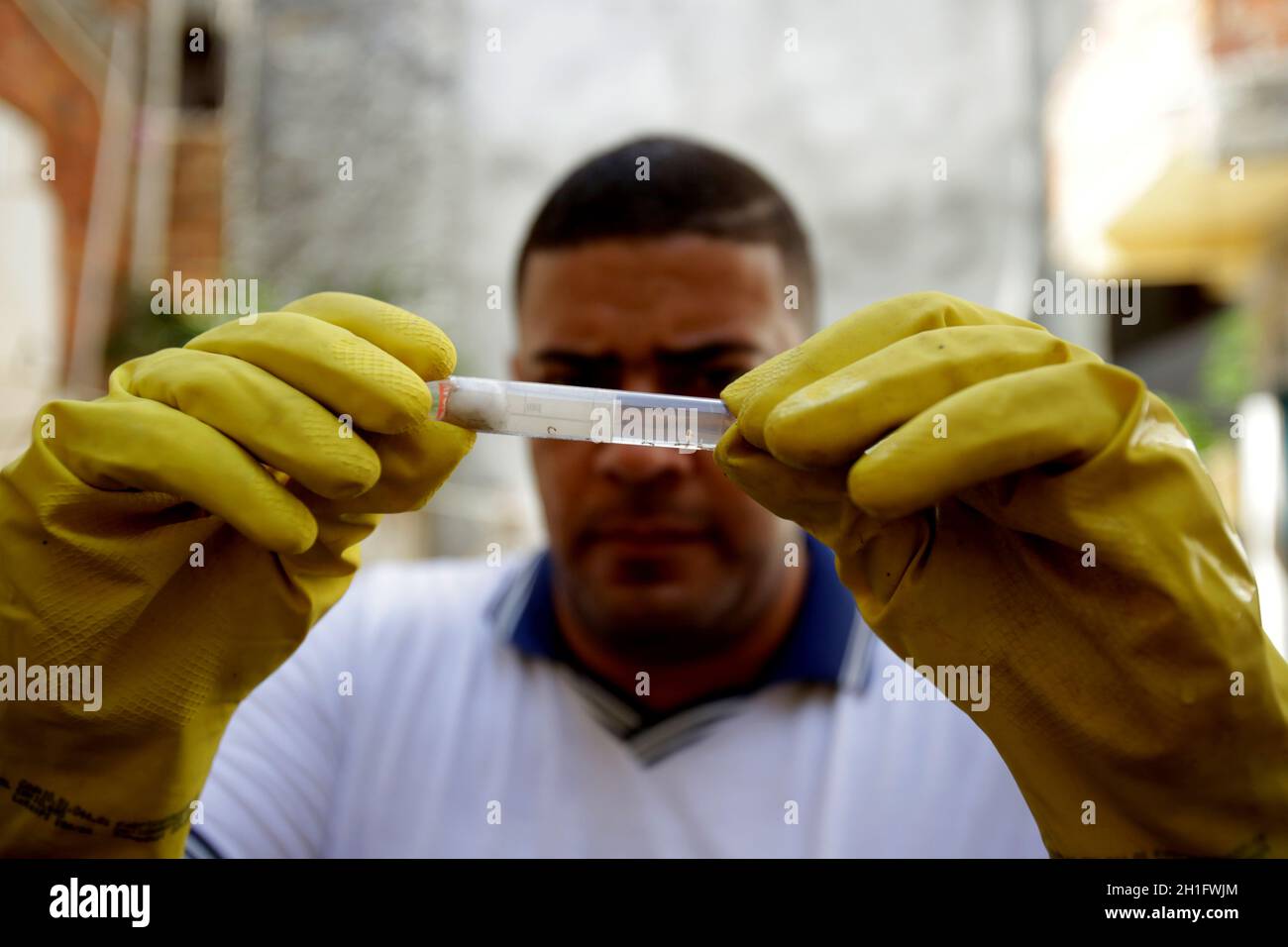 salvador, bahia/brasilien - 5. Juli 2019: Gesundheitsagent sammelt eine Probe der Aedes aegypti-Moskitogarve während einer Untersuchung von Immobilien in der Nachbarschaft Stockfoto