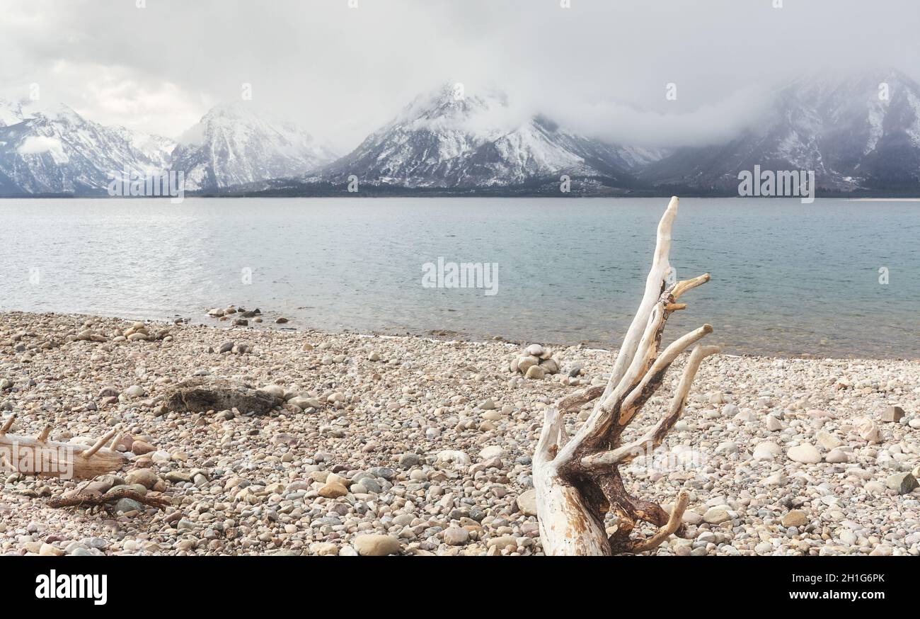 See im Grand Teton National Park an einem bewölkten Tag, Wyoming, USA. Stockfoto