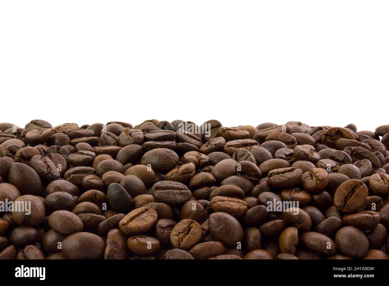 Kaffeebohnen am unteren Rand des Rahmens mit weißem Hintergrund. Arabica-Nahaufnahme Stockfoto