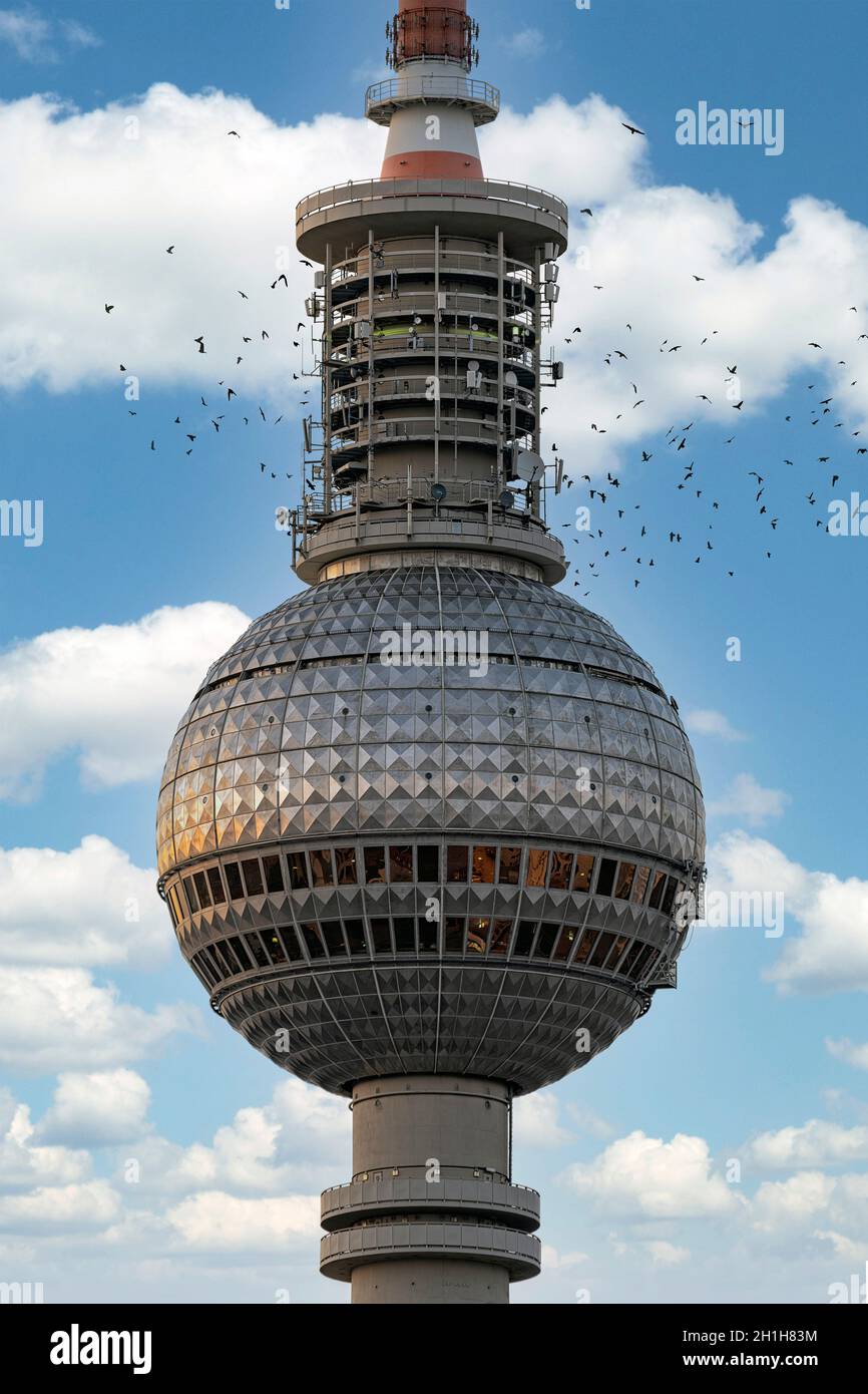 Berliner Fernsehturm (Telespargel) mit blauem Himmel und Vogelschar. Stockfoto