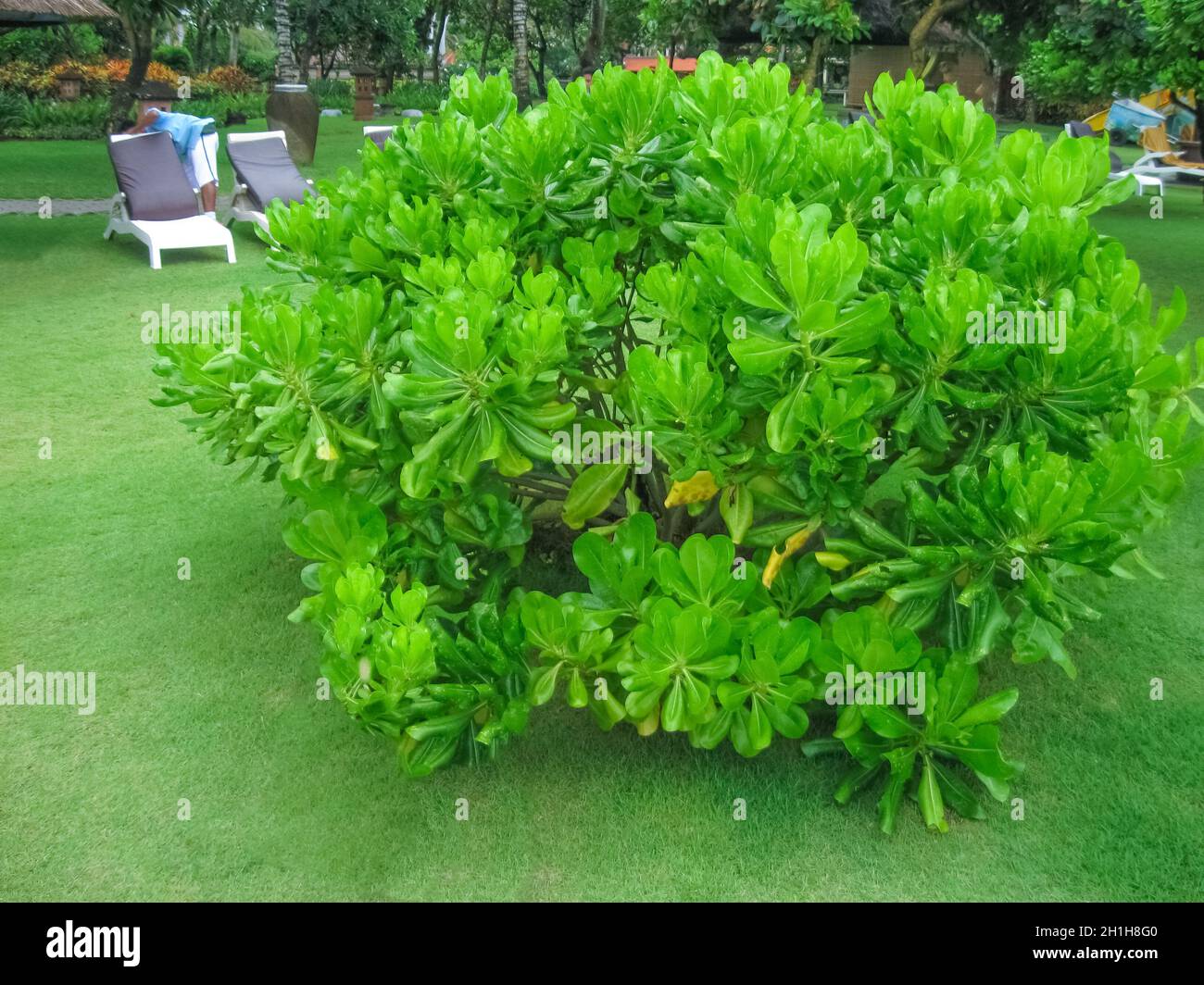 Nusa Dua, Bali, Indonesien - April 10, 2012: Der Rest der Zone und der Park in dem Ayodya Resort Bali in Nusa Dua, Bali, Indonesien Stockfoto