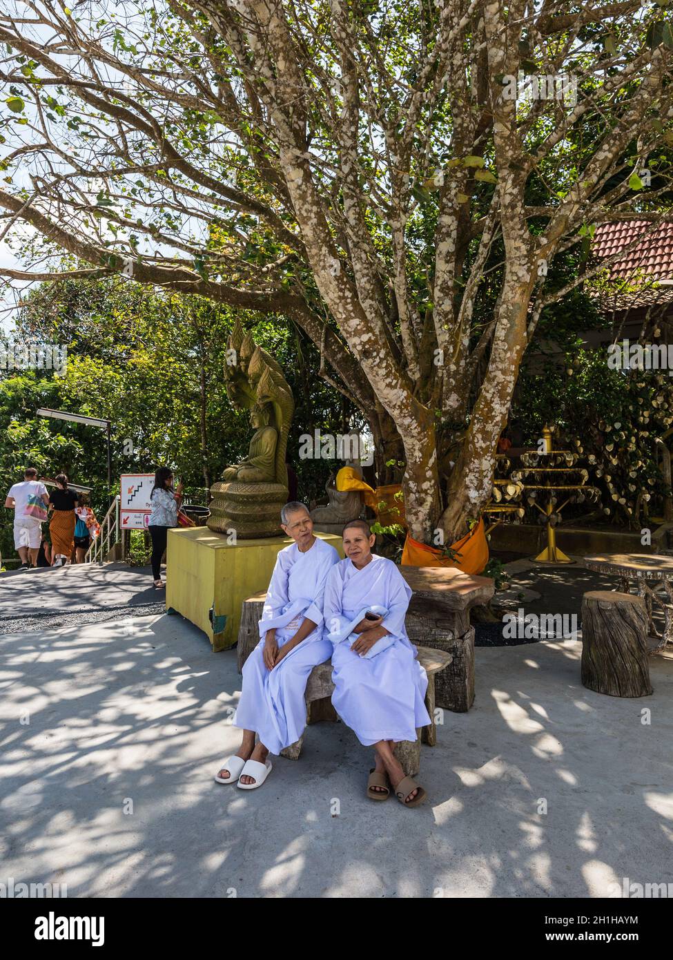 Phuket, Thailand - 29. November 2019: Buddhistische Nonnen sitzen in der Nähe des Big Buddha Tempels, Thailand, Phuket. Stockfoto