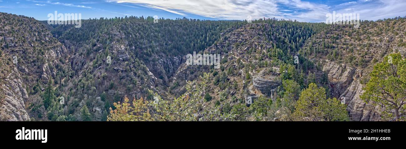 Ein Panoramablick auf das Walnut Canyon National Monument in der Nähe von Flagstaff Arizona. Lage der antiken indischen Ruinen von Sinagua. Stockfoto