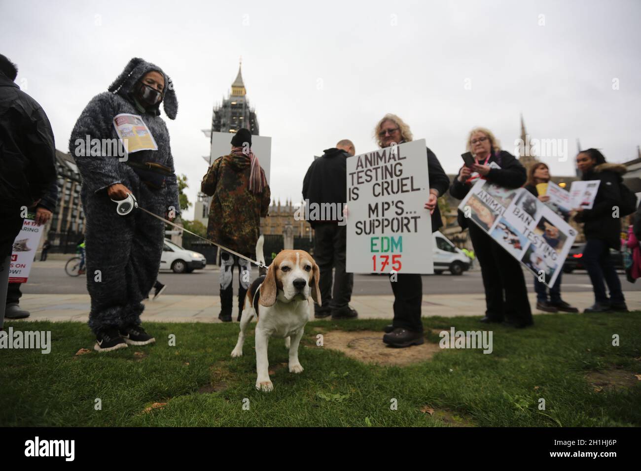 London, England, Großbritannien. Oktober 2021. Tierrechtsaktivisten protestieren vor den Houses of Parliament in London gegen MBR und alle anderen Unternehmen, die Tiere in Experimenten verwenden. Aktivisten fordern ein Verbot von Tierversuchen. (Bild: © Tayfun Salci/ZUMA Press Wire) Stockfoto