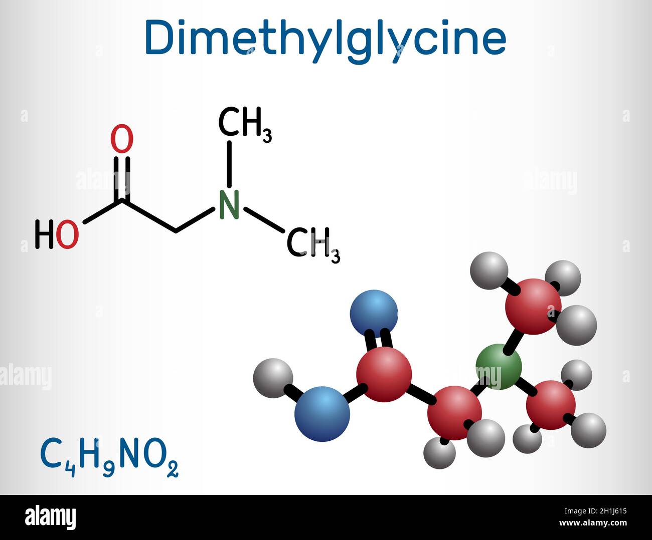 Dimethylglycin, DMG, Molekül. Es ist ein Derivat der Aminosäure Glycin. Strukturelle chemische Formel und Molekülmodell. Vektorgrafik Stock Vektor