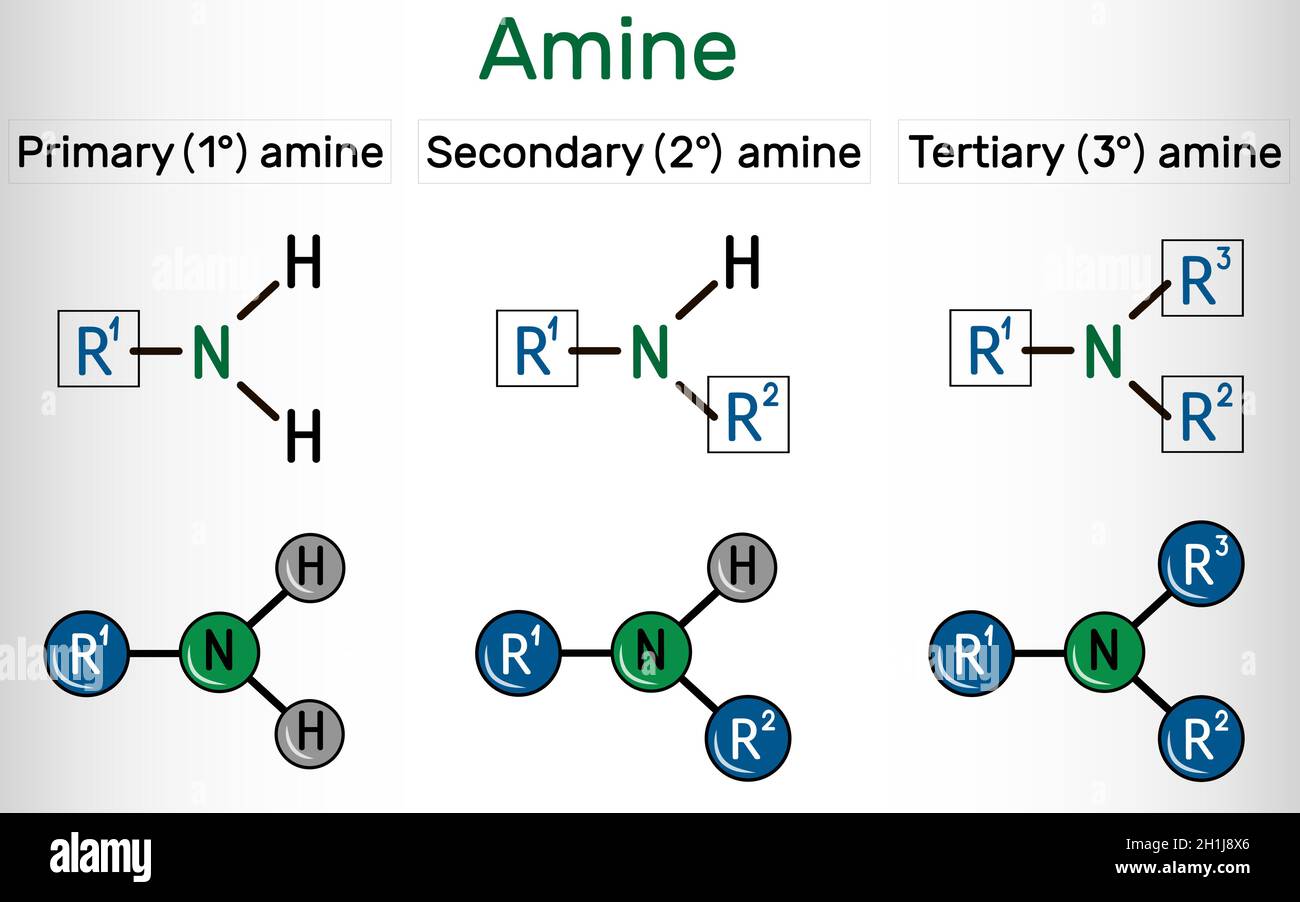 Aminogruppe (primär, sekundär, tertiär). Es ist eine funktionelle Gruppe, die aus Stickstoffatomen besteht, die mit einem Einzelpaar verbunden sind. Aminogruppe, die an eine gebunden ist Stock Vektor