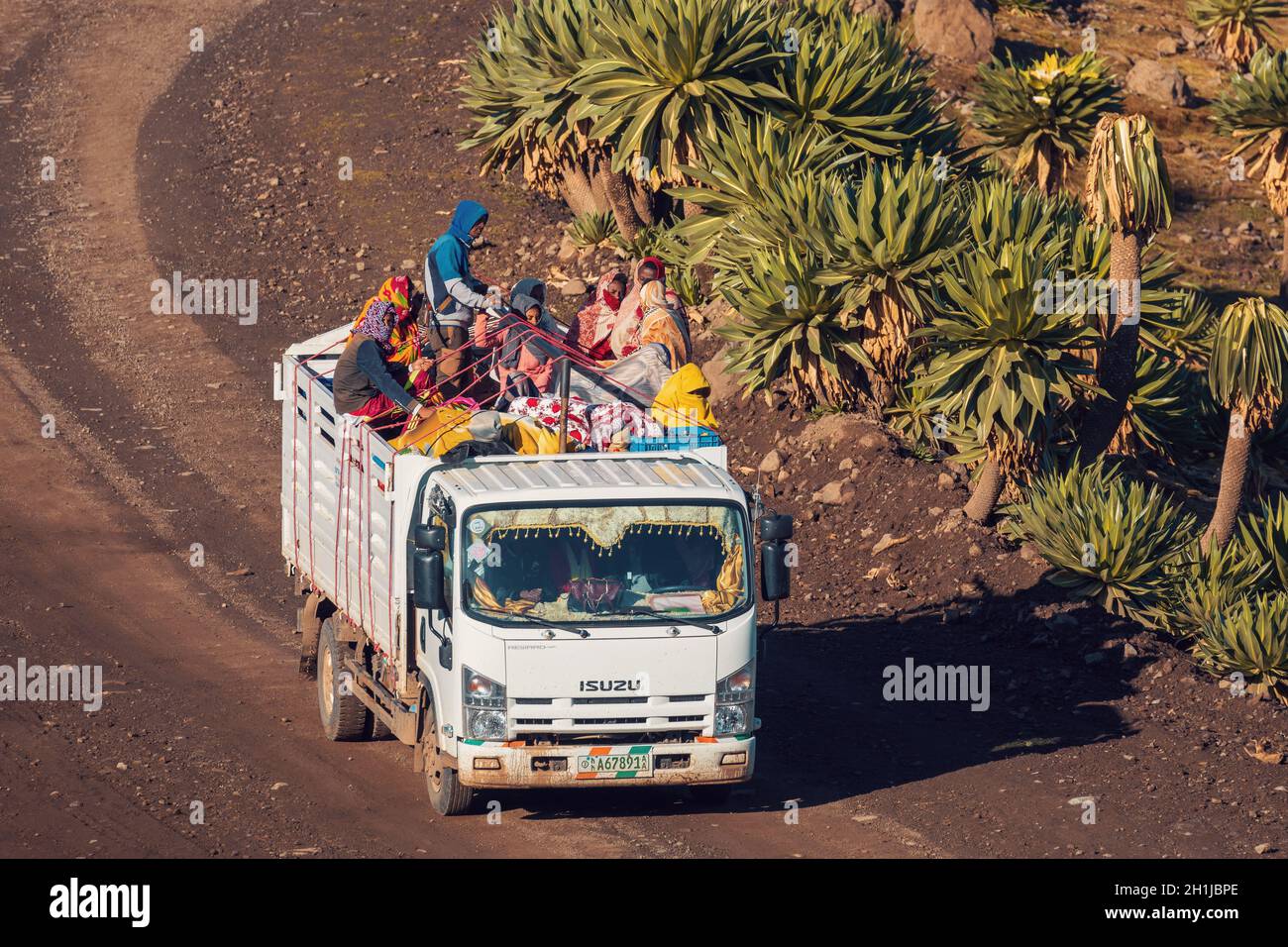 SIMIEN MOUNTAIN, ÄTHIOPIEN, 25. APRIL 2019, Menschen, die gefährlich mit voll beladenem LKW unterwegs sind, in Simien Mountains, Äthiopien, April 25. 2019 Stockfoto