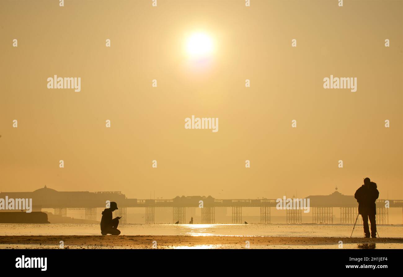 Brighton Beach bei Ebbe, Sonnenaufgang. Der Palace Pier im Hintergrund. Frau in Baseballmütze sitzend und mit ihrem Mobiltelefon; Fotografin mit Stativ. Brighton & Hove, Sussex, England, Großbritannien Stockfoto