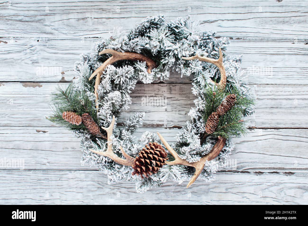 Beflockte stilvolle Land oder Jäger Weihnachtskranz über weißen Holztisch Hintergrund. Der Kranz wird aus Kiefernzapfen, Ästen und Hirschgeweihen hergestellt. Stockfoto