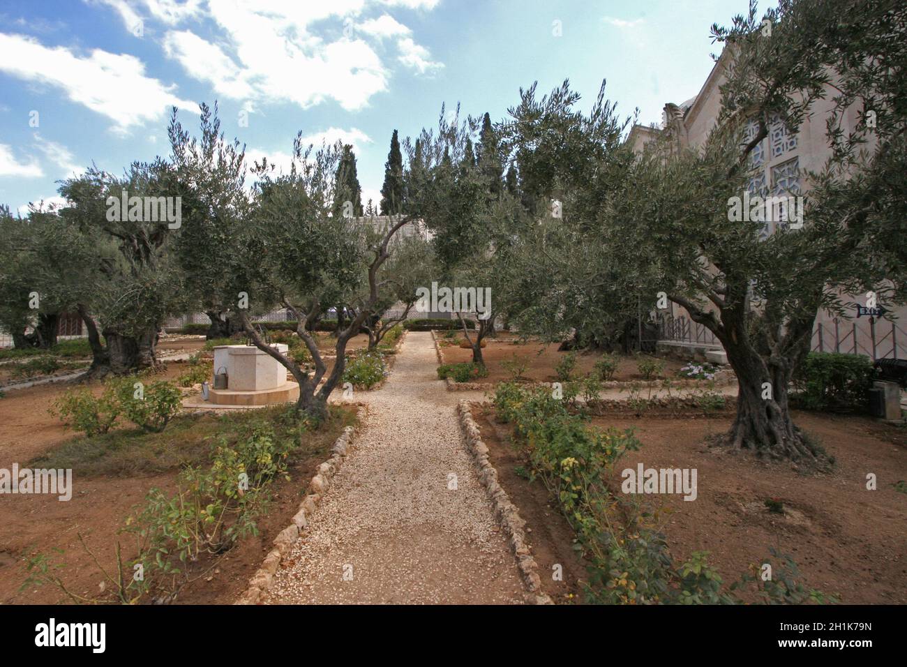 Jesus im garten gethsemane Fotos und Bildmaterial in hoher Auflösung