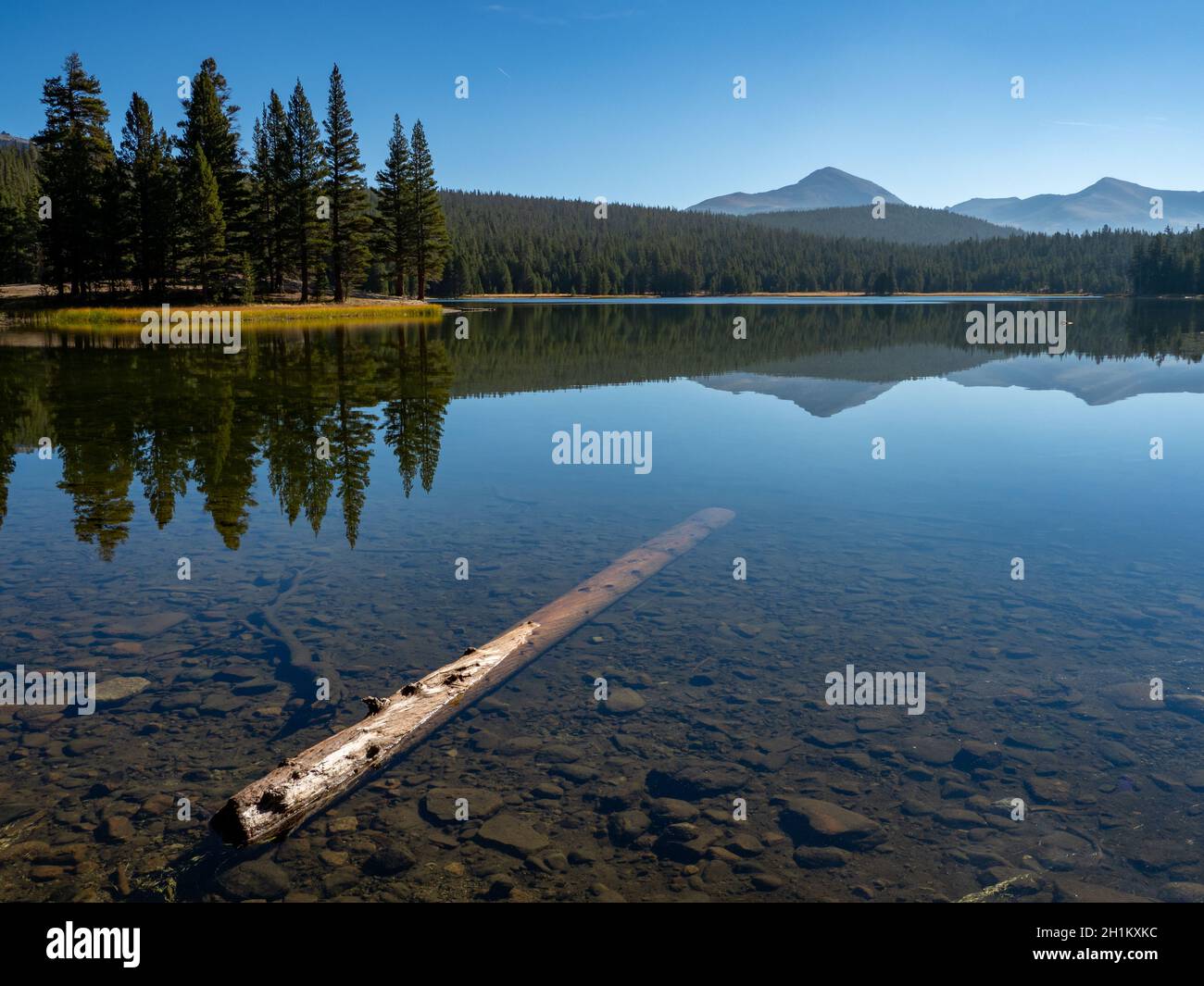 Wandern mit schönen Reflexionen am Dog Lake, Tuolumne Meadows, Yosemite National Park, Kalifornien, USA Stockfoto
