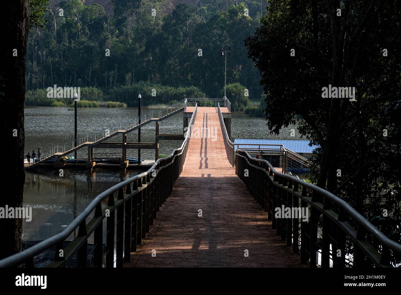 Ein Blick auf die Brücke, die zum Steg am Rande des Chini-Sees durch den Dschungel führt. Selektive Fokuspunkte Stockfoto