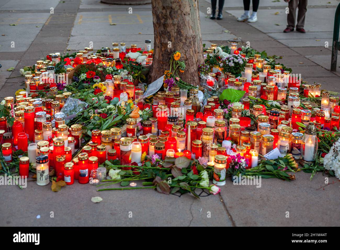 Wien, Österreich - 11.05.2020: Kerzen und Blumen am Ort des Terroranschlags im November in Wien. Stockfoto