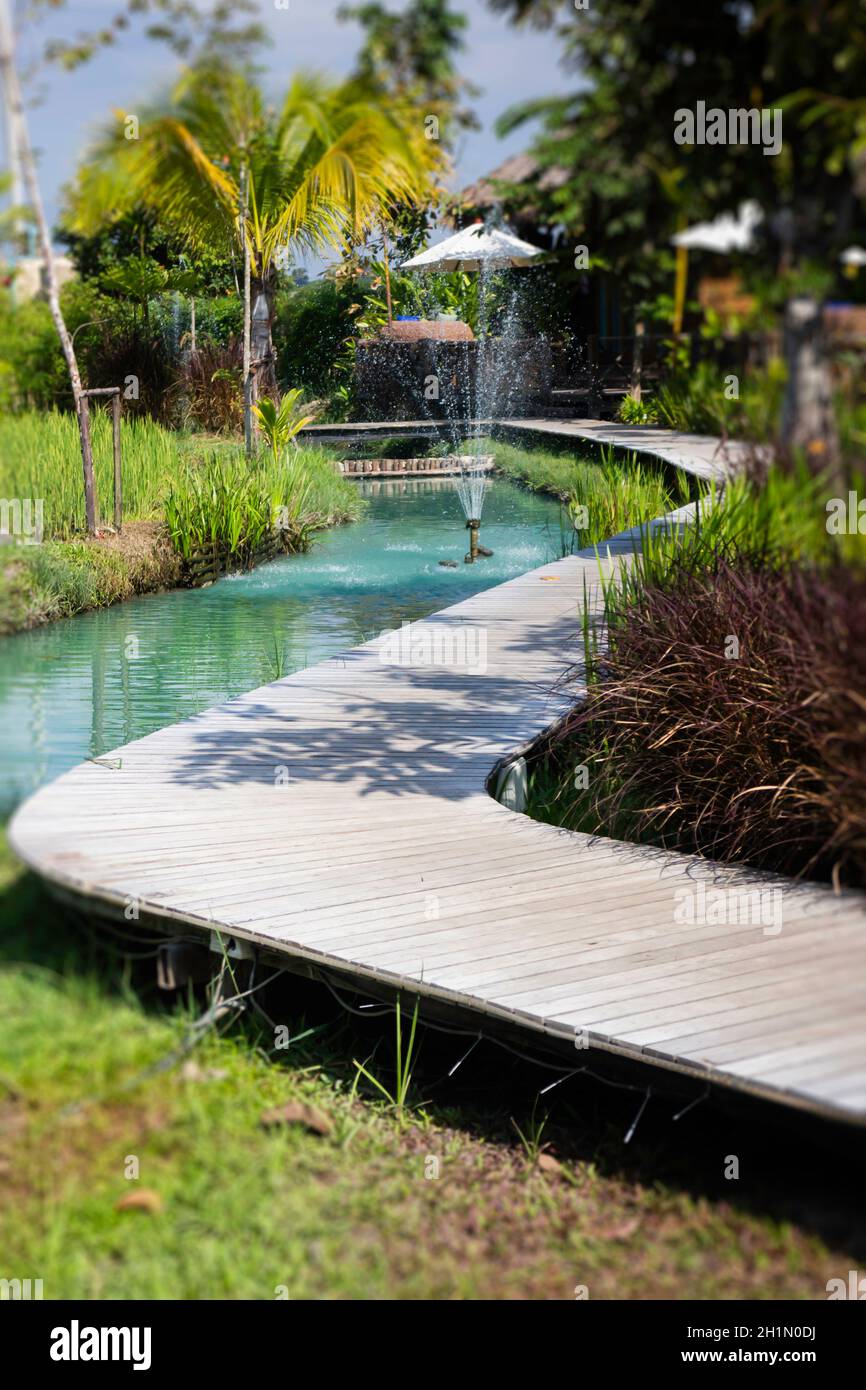 Einfacher Gehweg im Sommer Reisfeld Resort, Stock Foto Stockfoto