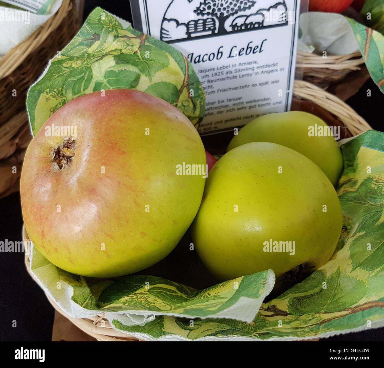 Jacob Label, Apfel, Malus, domestica, Alte Apfelsorte Stockfoto
