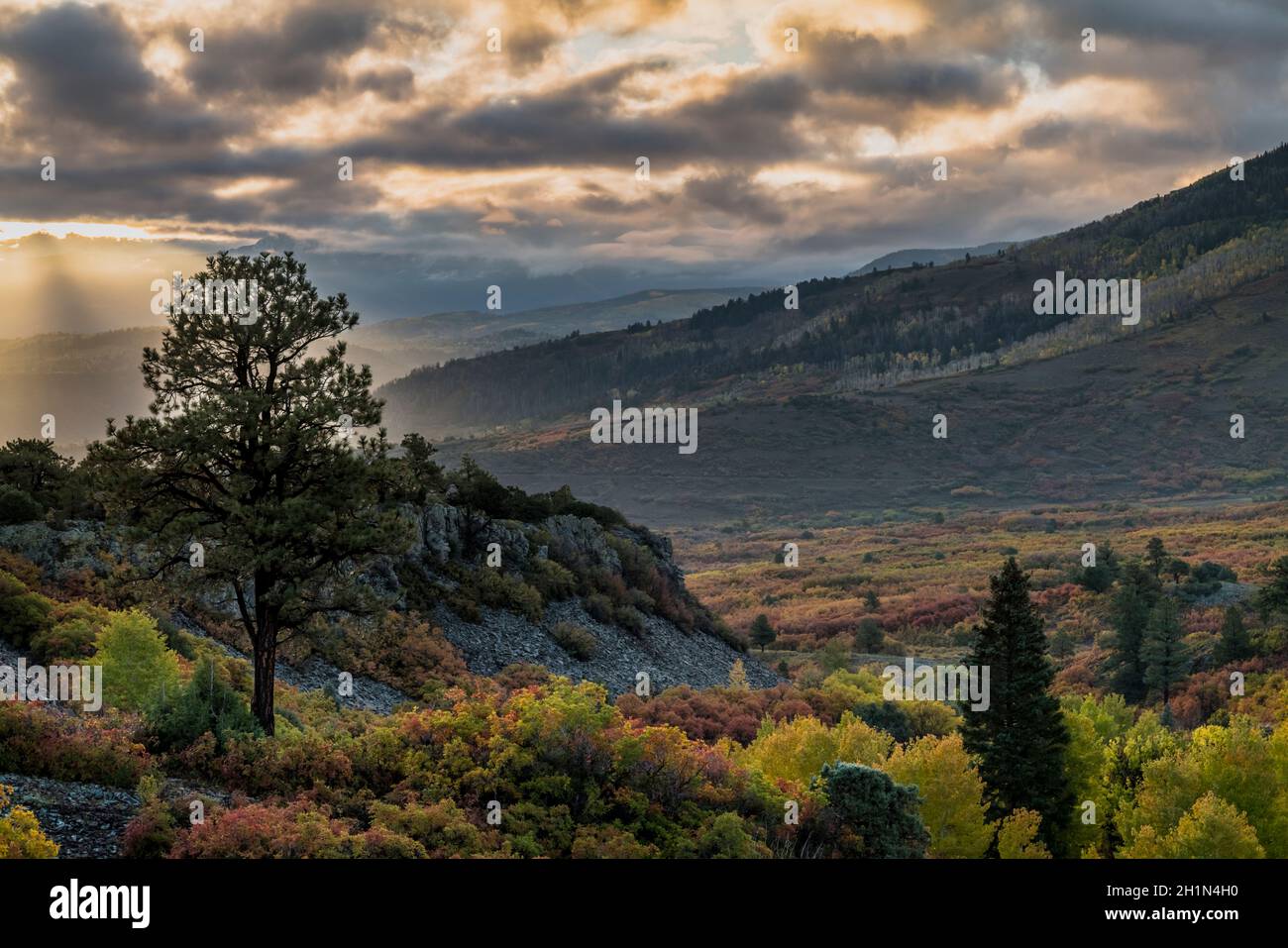 DALLAS DIVIDE RIDGWAY COLORADO USA Stockfoto