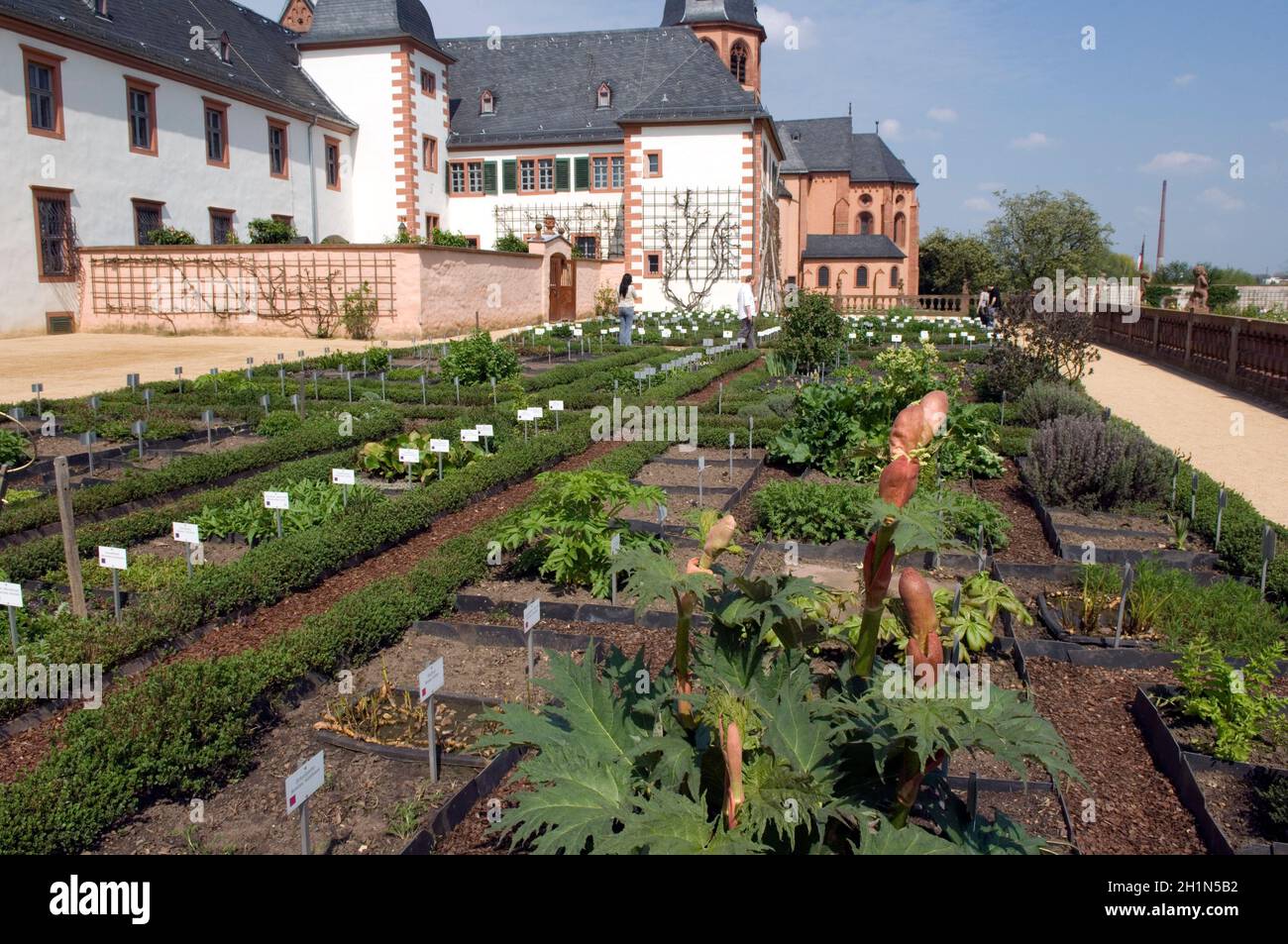 Klostergarten Seligenstadt Stockfoto