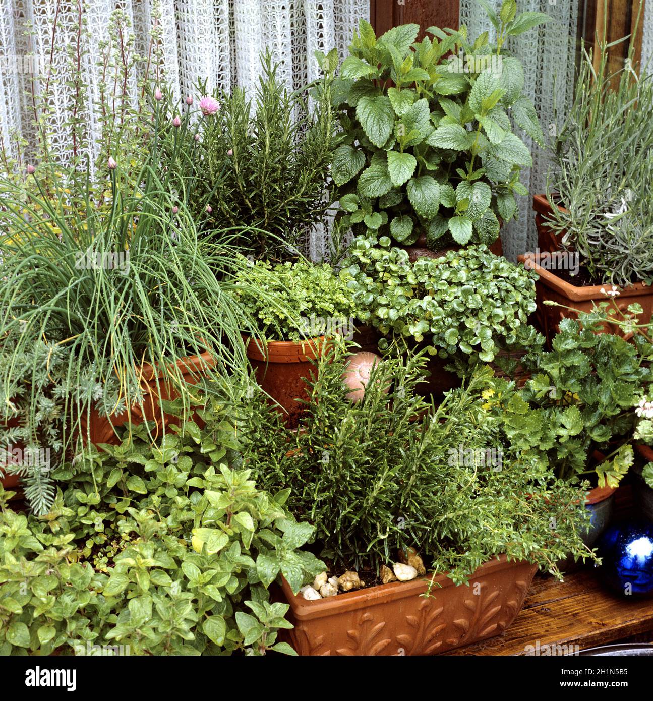 Kuechenkraeuter, Kraeuter, Terrasse, Balkon, Gegenspieler, Heilpflanzen, Stockfoto