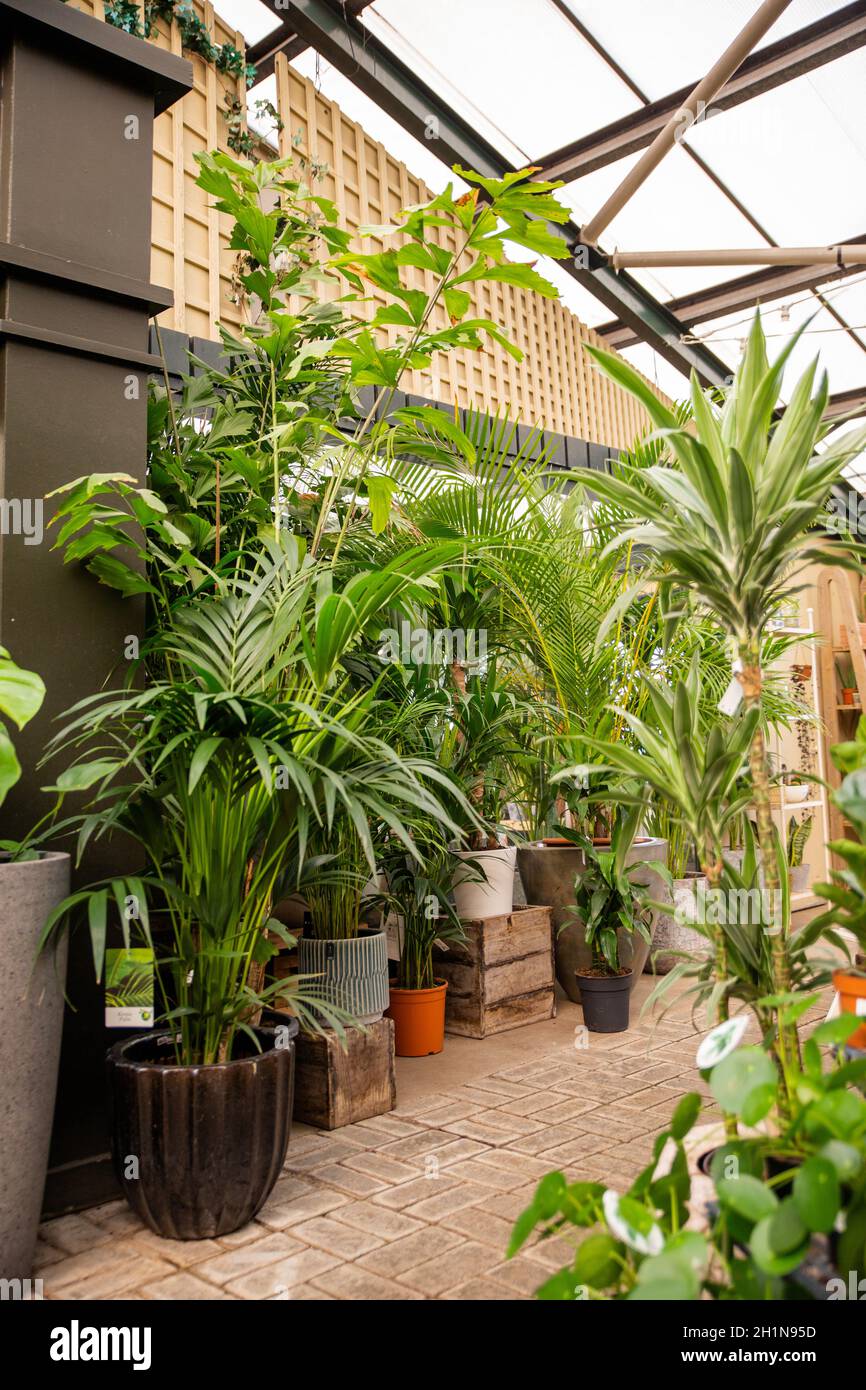 compo rain Interior Home Products