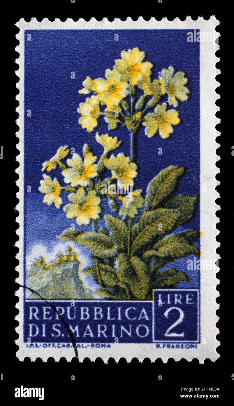 Stempel in San Marino ausgegebenen zeigt Primel Blume, circa 1957. Stockfoto