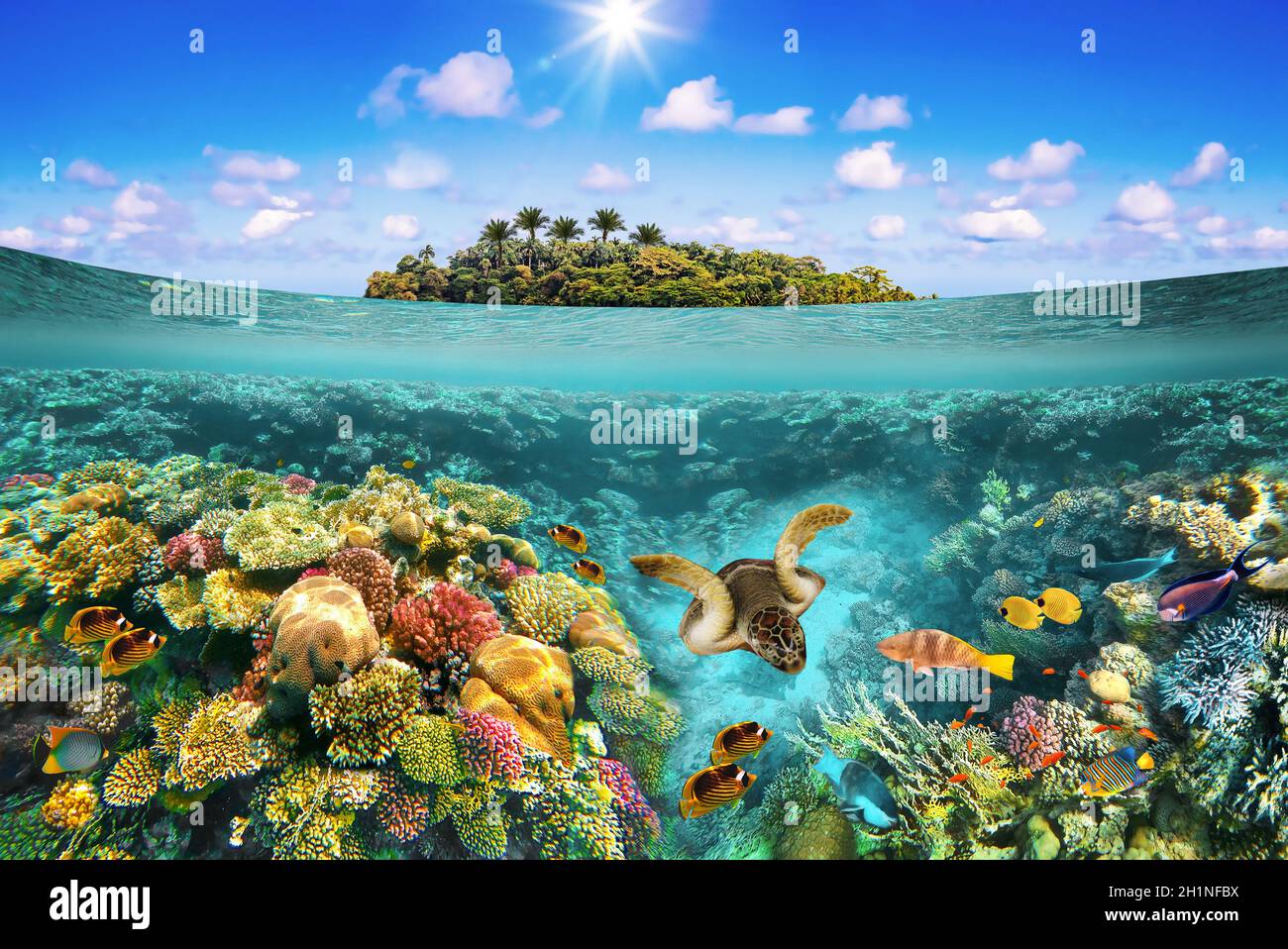 Collage über tropischen Strand mit schöner Unterwasserwelt an einem sonnigen Tag. Wunderschönes Inselparadies und mit Korallenfischen am Riff. Stockfoto