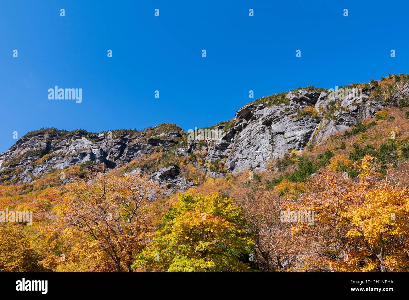 Berggipfel und lebendiges Laub von Wäldern bei Schmugglern ragen in vermont Stockfoto