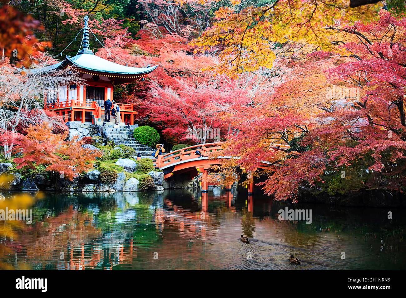 Das Japanische Erbe. Heiterer berühmter Daigo-ji Tempel während der wunderschönen Herbstsaison der Roten Ahorn in Kyoto City in Japan Stockfoto