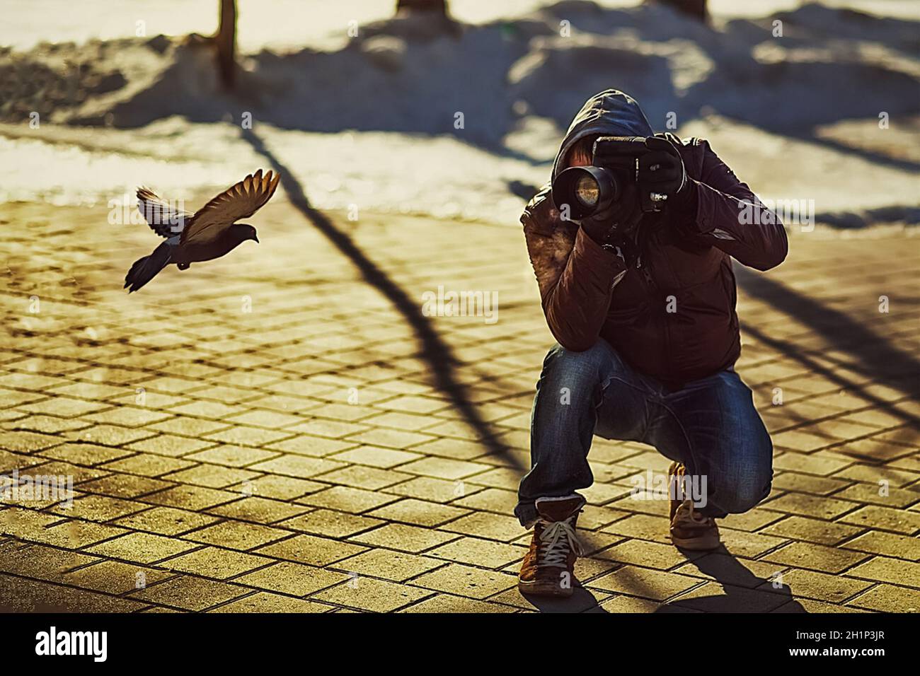 Ein Fotograf fotografiert eine Taube auf der Fliege. Ein Fotograf im Park. Stockfoto