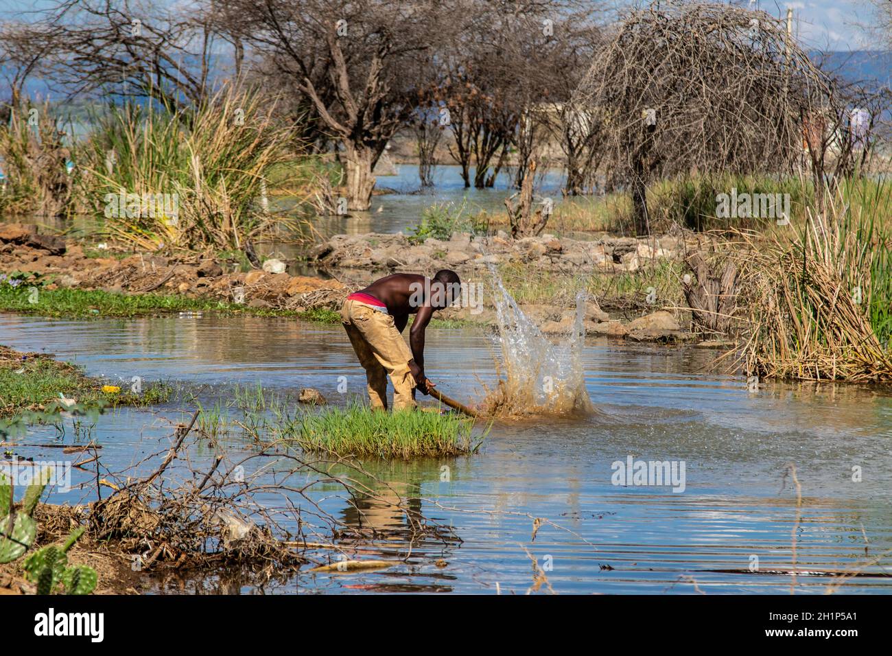 Nakuru, Kenia. Oktober 2021. Ein Mann wird gesehen, wie er sein Fischernetz  mit einem Holzstab peitscht, um Schmutz am Ufer des Lake Baringo zu  entfernen.die durch den Klimawandel verschärfte Überschwemmungssituation in  Rift