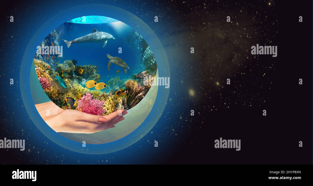 Globus in menschlicher Hand gegen blauen Himmel. Umweltschutzkonzept. Unterwasserwelt. Korallenfische des Roten Meeres Stockfoto