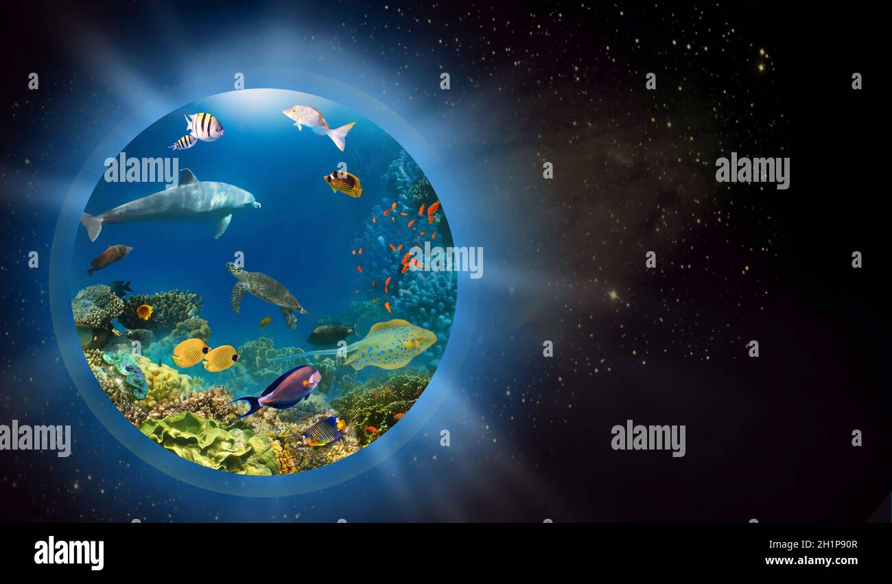 Konzeptuelles Bild des Weltmeers als Planet oder Globus im Weltall. Umweltschutzkonzept. Unterwasserwelt. Korallenriff und Fische des Roten Meeres Stockfoto