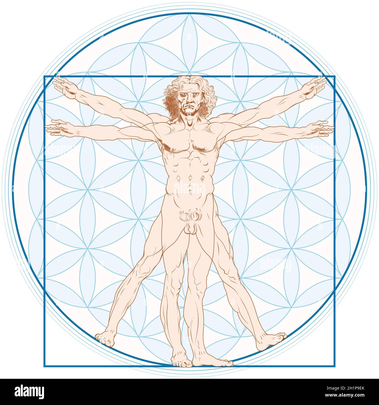 Vektor-Design von Vitruvian man von Leonardo da Vinci mit Blume des Lebens Hintergrund Stock Vektor