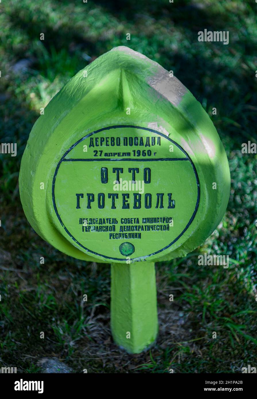 Sotschi, Russland - 31. Dezember 2020: Zeichen für die Pflanzung eines Baumes von Otto Grotewohl im Riviera Park Stockfoto