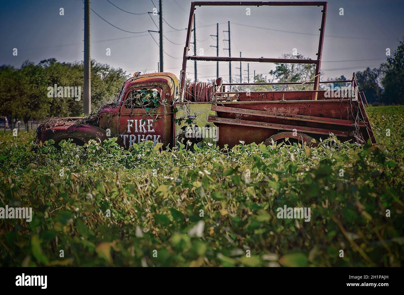 Ein amerikanischer LaFrance-Feuerwehrauto der 40er Jahre sitzt auf einem Feld auf dem Highway 98 am 16. Oktober 2021 in Fairhope, Alabama. Stockfoto