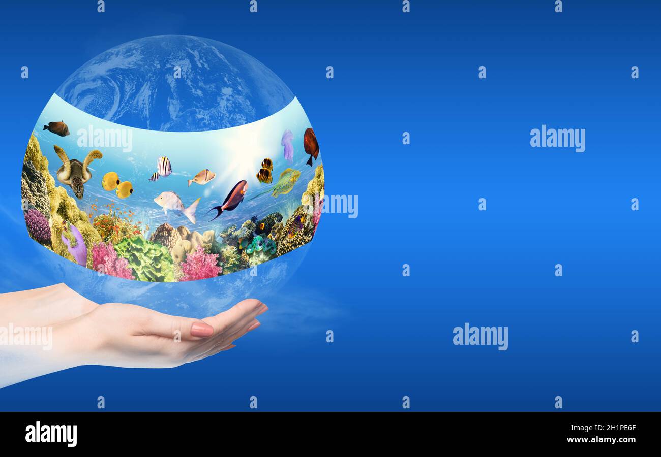 Globus in menschlicher Hand gegen blauen Himmel. Umweltschutzkonzept. Unterwasserwelt. Korallenfische des Roten Meeres Stockfoto