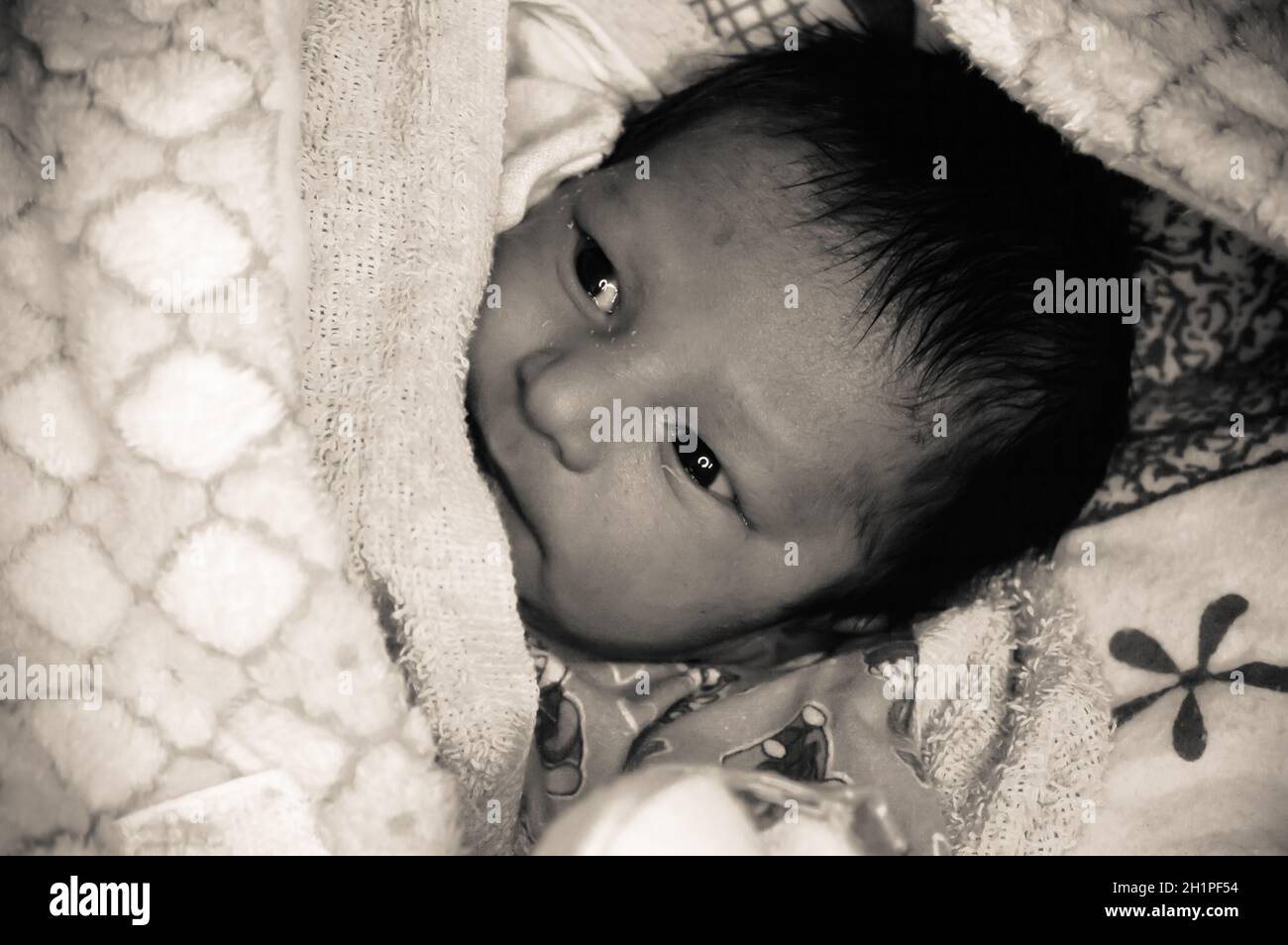 Extreme Nahaufnahme Porträt des neugeborenen asiatischen indischen Baby junge Gesicht gerade aus dem Schlaf wach. Er wurde gerade erst 7 Tage alt geboren. Eingewickelt auf weiße Decke warmes Gerinnsel Stockfoto