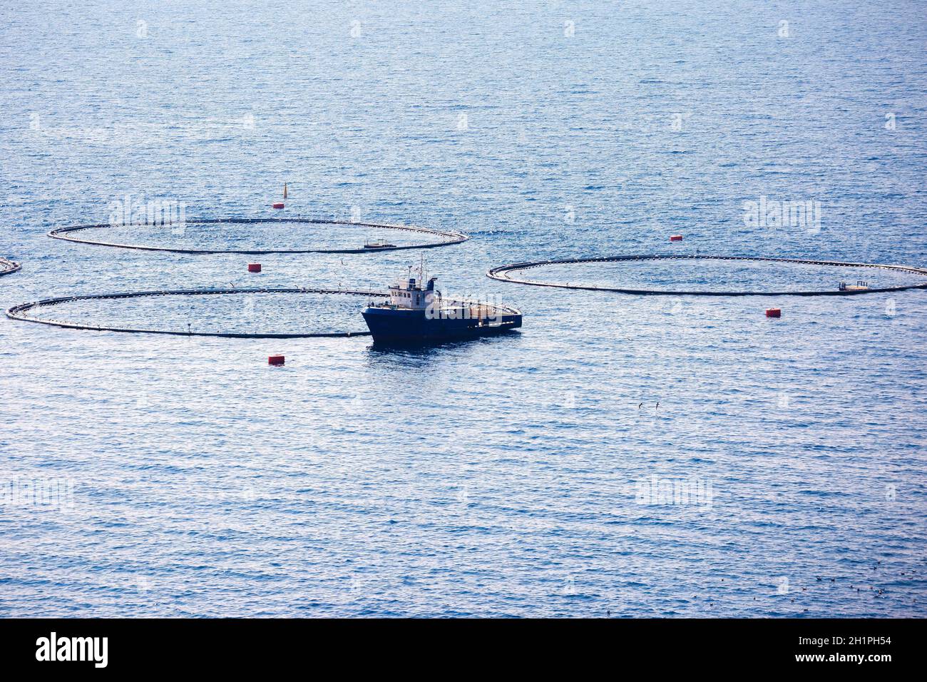 Fischfarm auf offenem Meerblick, Dalmatien Archipel von Kroatien Stockfoto