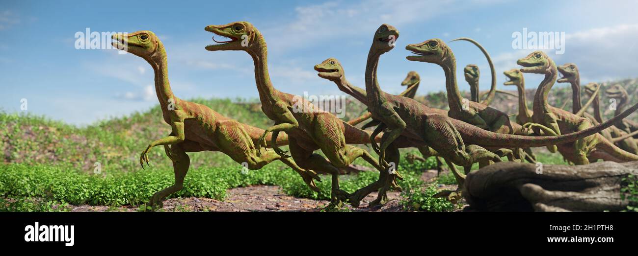 Compsognathus longipes, Gruppe von Dinosauriern aus der späten Jurazeit Stockfoto