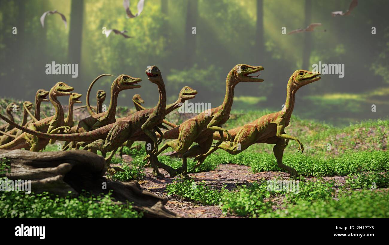Compsognathus longipes im Wald, Gruppe von Dinosauriern aus der späten Jurazeit Stockfoto