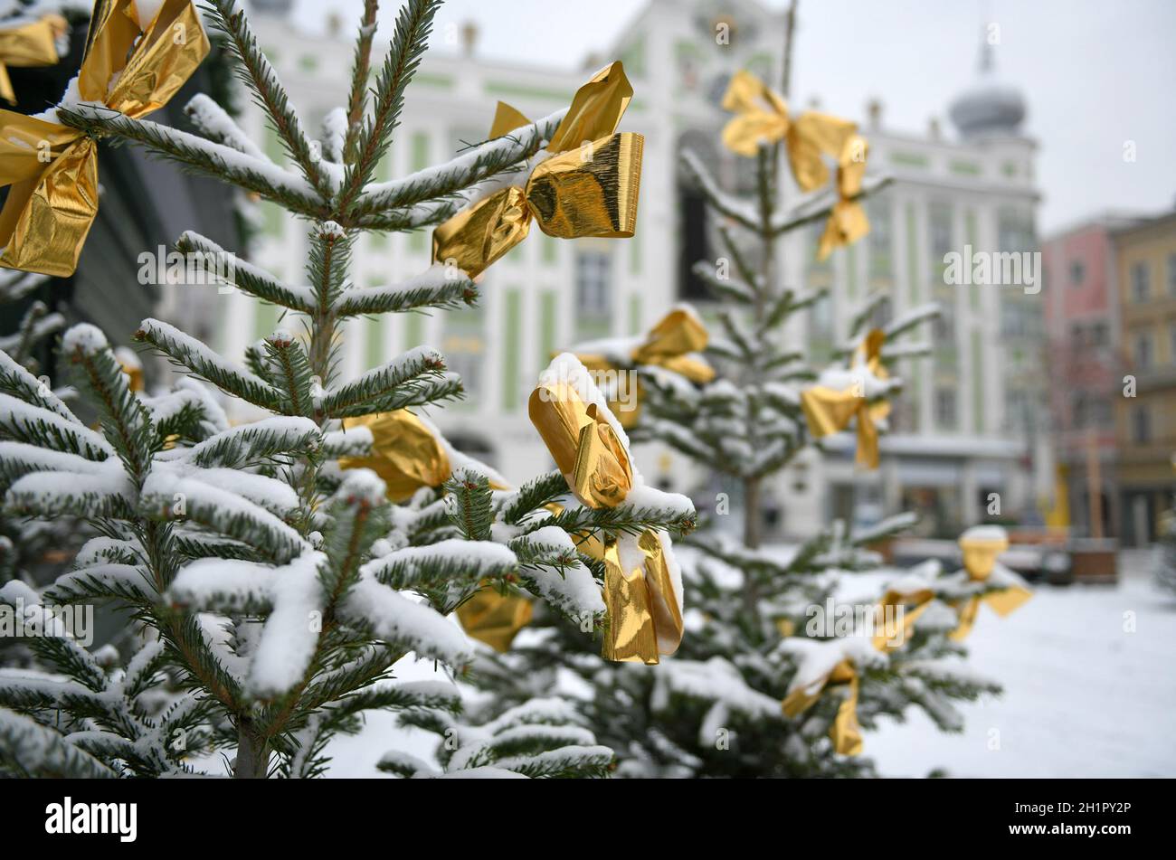 ErsterSchnee in Gmunden (Salzkammergut, Bezirk Gmunden, Oberösterreich, Österreich) - erster Schnee in Gmunden (Salzkammergut, Kreis Gmunden, Oberau Stockfoto