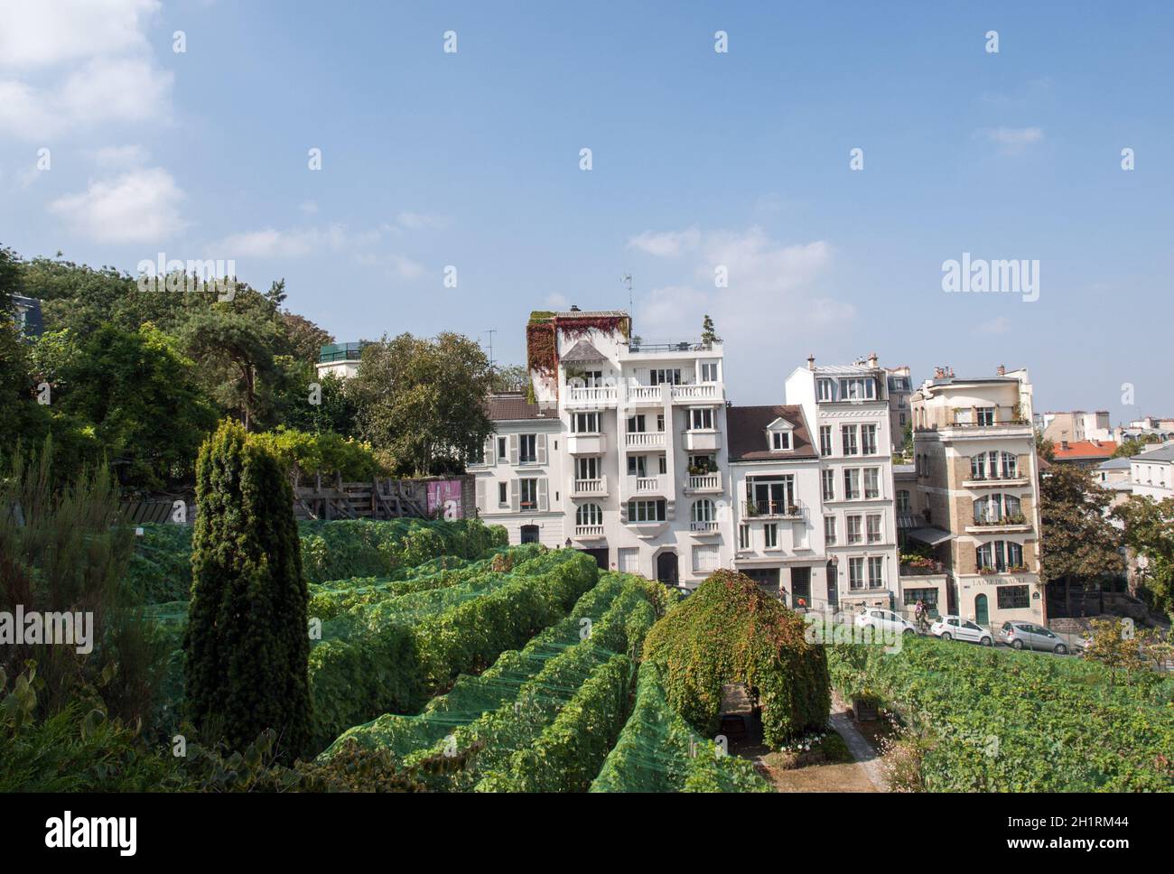 Paris - Gärten zu Auguste Renoir widmet das Museum von Montmartre Surround Stockfoto