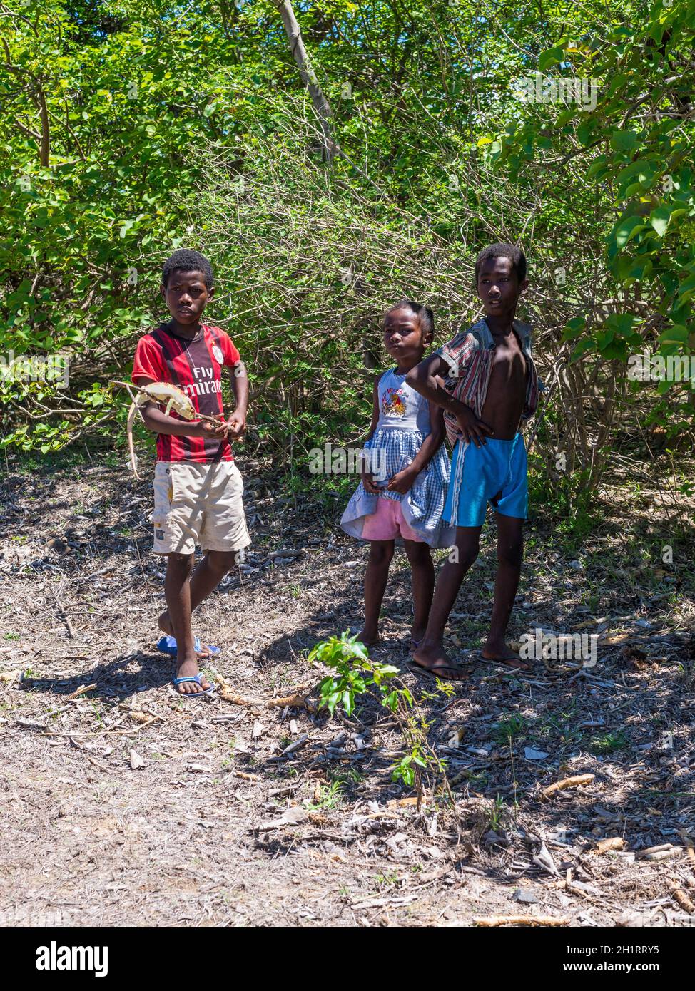 Antsiranana, Madagaskar - 20. Dezember 2015: Madagassische Kinder spielen mit einem Chamäleon in der Nähe von Antsiranana (Diego Suarez), Madagaskar, Afrika. Stockfoto