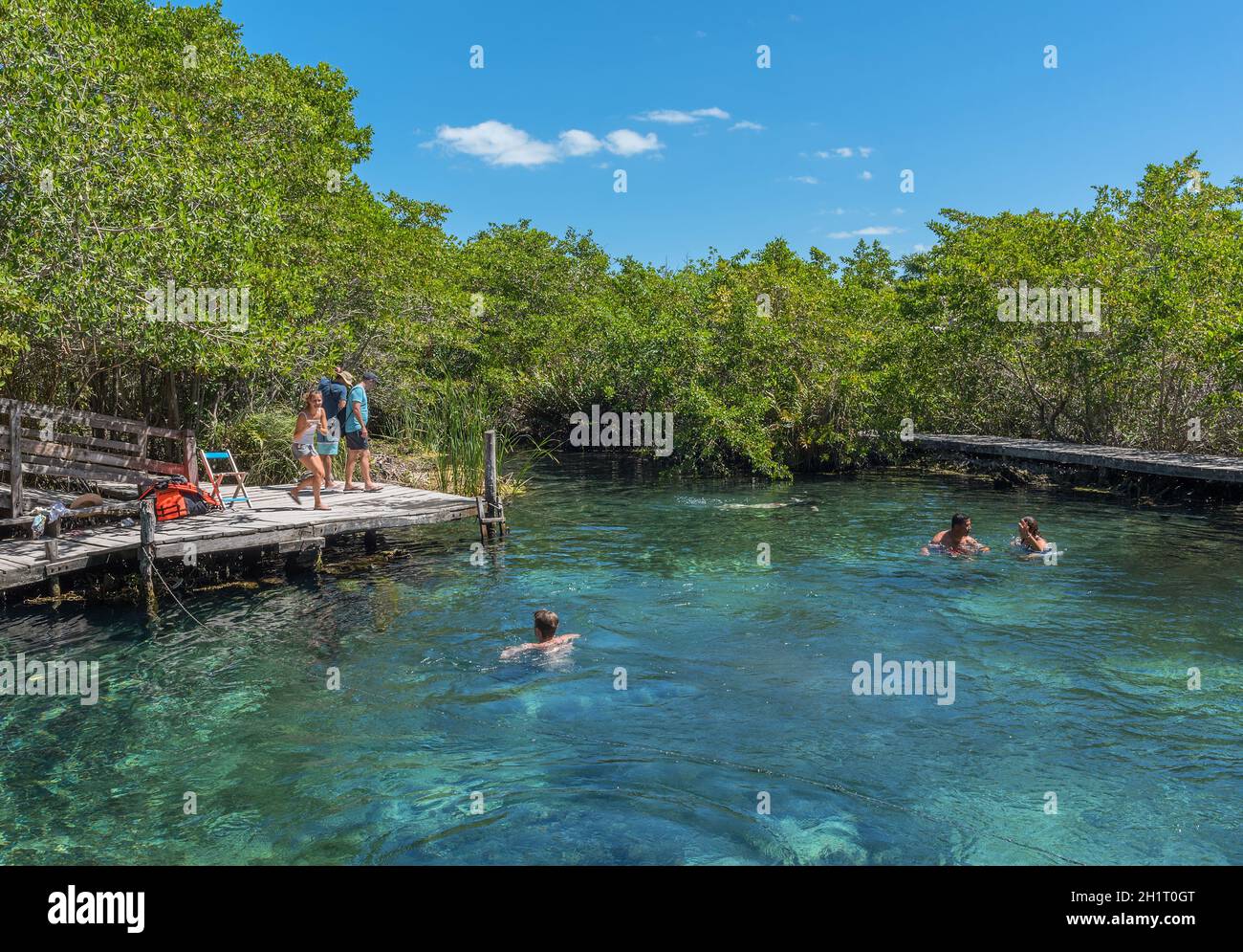 Touristen schwimmen im Hoyo Negro Yalahau Wasserloch, Isla Holbox, Mexiko Stockfoto