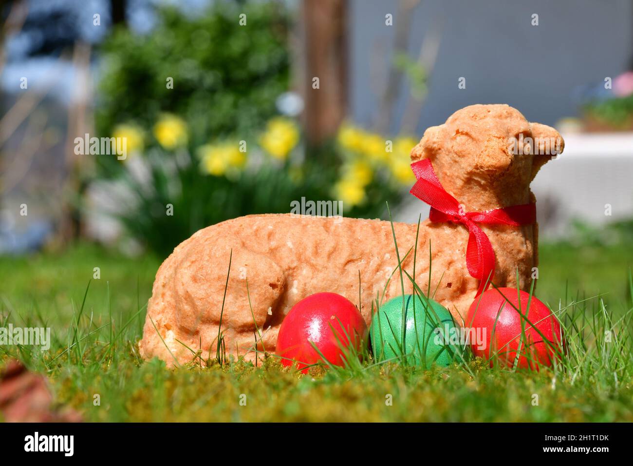 Ostereier und ein gebackenes Osterlamm in einer Wiese mit gelben Blumen ...