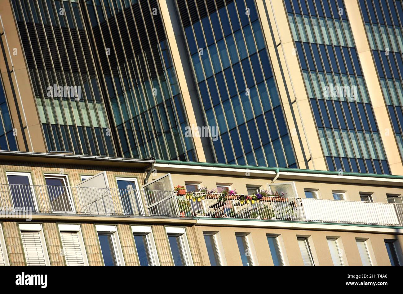 Ein Balkon mit Blumen und im Hintergrund eine moderne Glasfasade in Düsseldorf, Deutschland, Europa - Ein Balkon mit Blumen und im Hintergrund ein Stockfoto